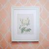 Vintage Botanical Framed Canvas Print White Frame with white rose