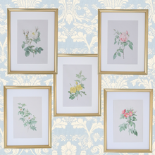  Vintage Botanical Framed Canvas Prints