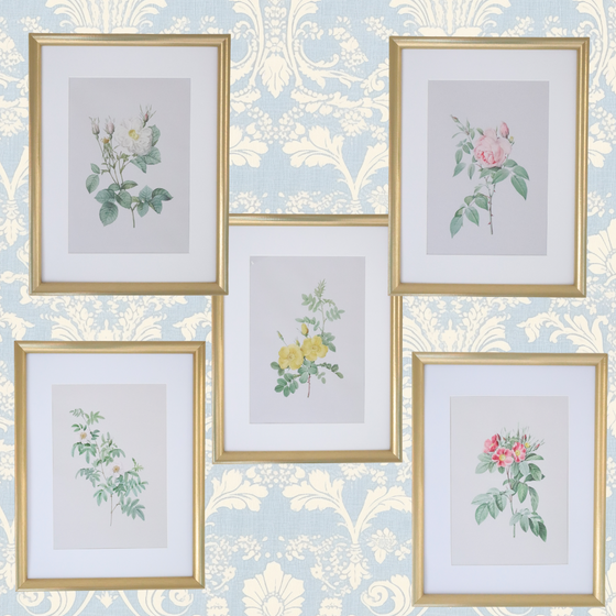 Vintage Botanical Framed Canvas Prints