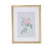 Vintage Botanical Framed Canvas Prints