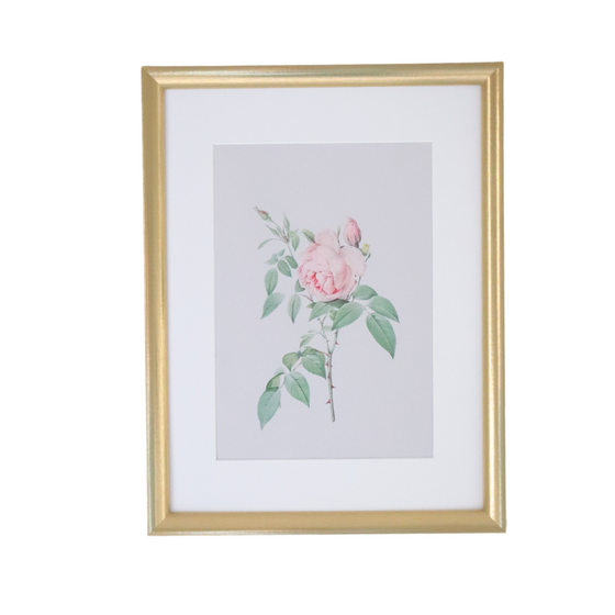 Vintage Botanical Framed Canvas Prints