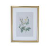 Vintage Botanical Framed Canvas Prints