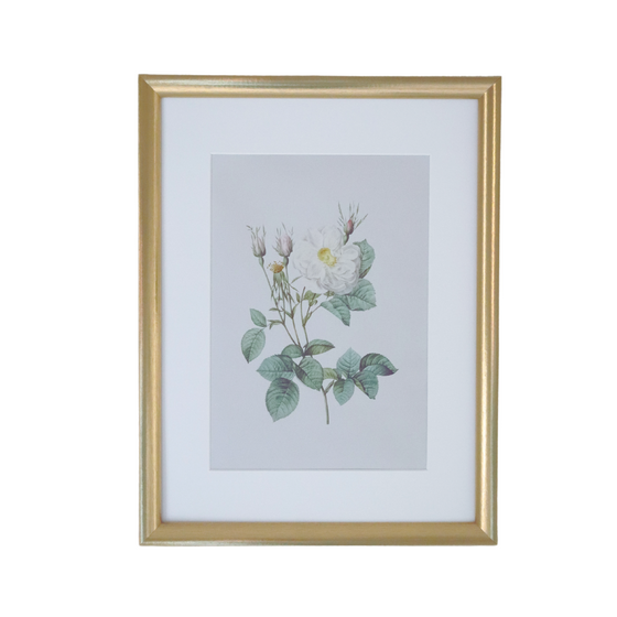 Vintage Botanical Framed Canvas Prints