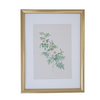 Vintage Botanical Framed Canvas Prints