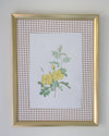 Vintage Botanical Gingham Framed Canvas Prints