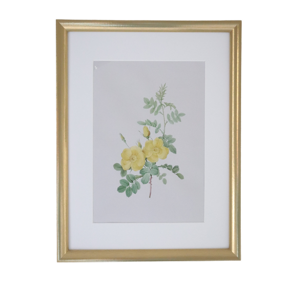 Vintage Botanical Framed Canvas Prints